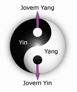 Yin e Yang - Jovem Yin e Jovem Yang